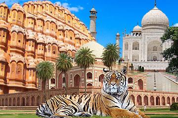Golden Triangle with Tiger