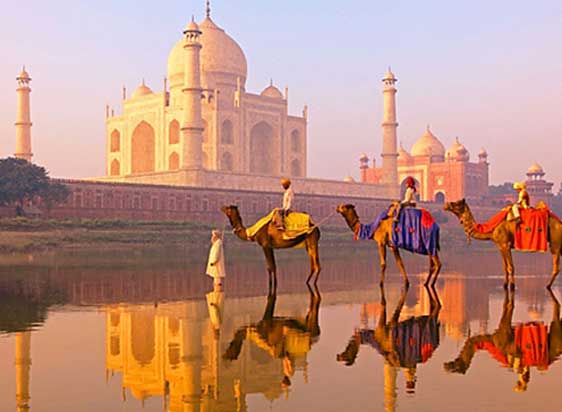Travel