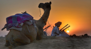 best tour of rajasthan